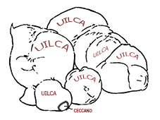 bufale
